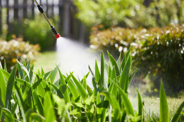 24/7 Emergency Cockroach Control experts in Ardmore, OK