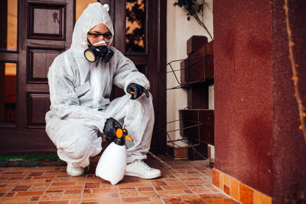 Reliable Cockroach Control contractor in Ardmore, OK by Nex Pest Control